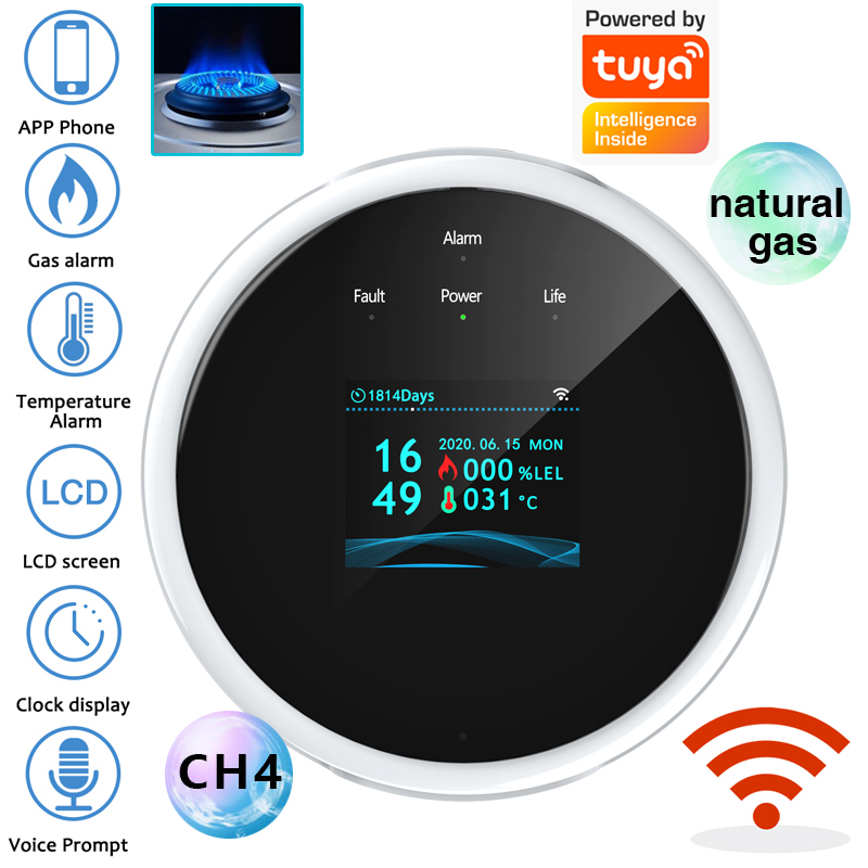 Home Security Upgrades - 2.4G WiFi Gasalarmsensor Brandbaar gasdetector Werkt