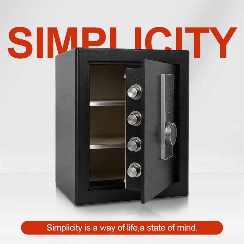 Biometrische vingerafdruksklui - Home Security Safe recensie en prijs